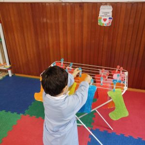 WhatsApp Image 2026-02-11 at 12.37.19