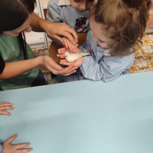 WhatsApp Image 2026-03-30 at 08.43.32 (1)