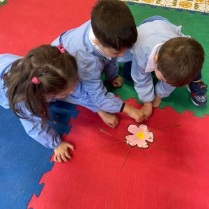 WhatsApp Image 2026-03-30 at 08.43.32 (2)