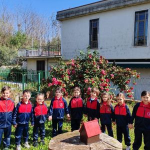 WhatsApp Image 2026-03-30 at 08.43.32 (3)